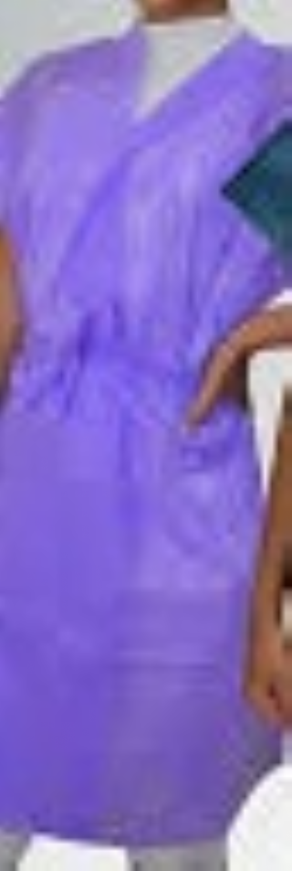 Avental S/ Manga 40g Pct/10 LILAS